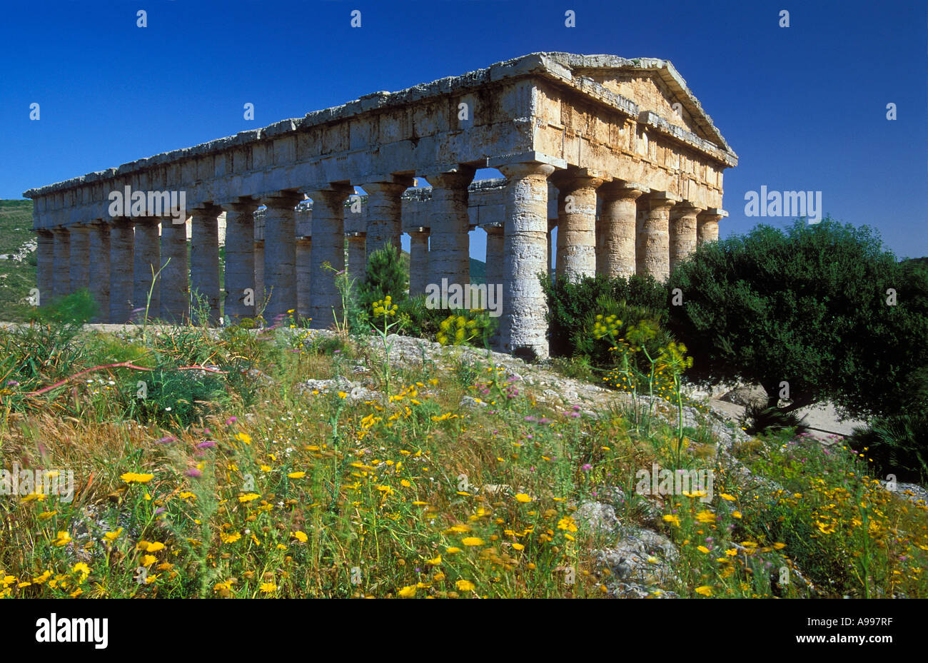 Greek Doric Temple at Segesta Sicily Italy Stock Photo
