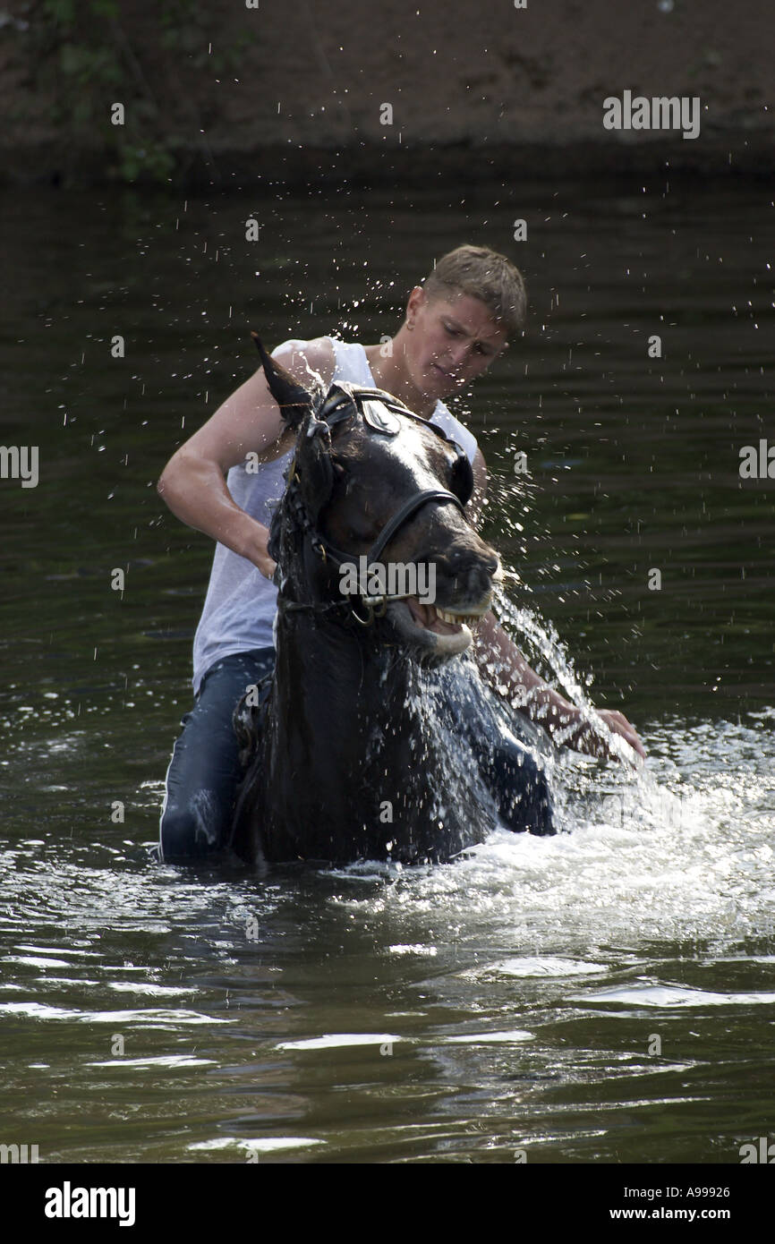 Man washing horse Appleby horse fair Stock Photo - Alamy