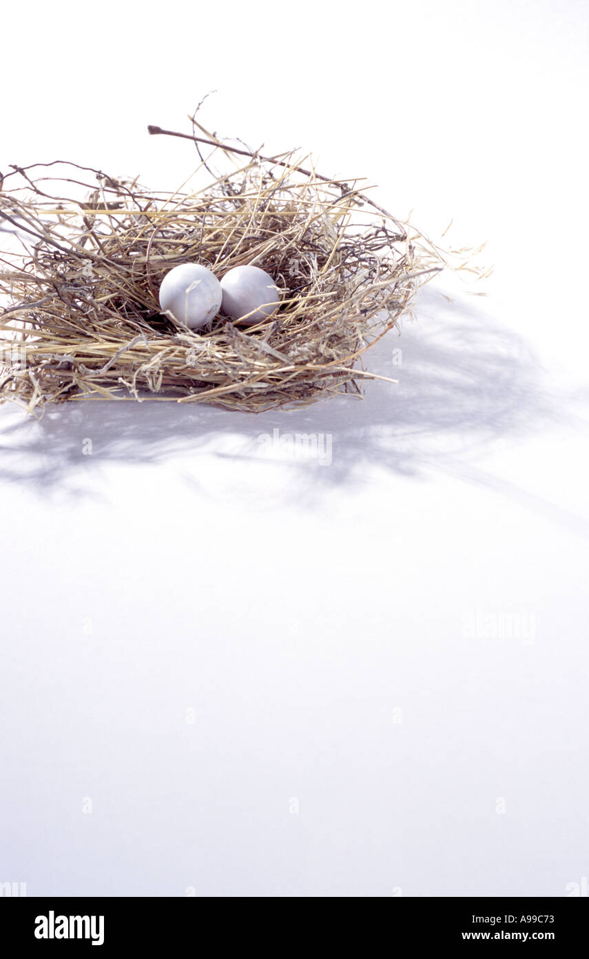 Bird Nest on White Background Stock Photo - Alamy