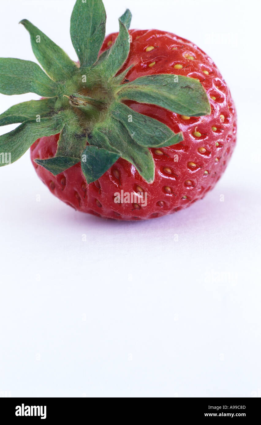 A Single Strawberry on a White Background Stock Photo - Alamy