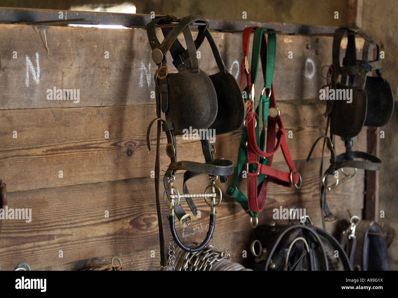 Various items of horse tack and equipment hanging in stable Stock Photo