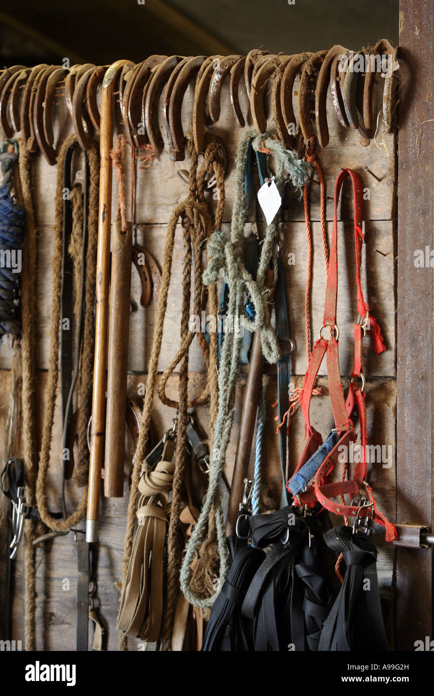 Various items of horse tack and equipment hanging in stable Stock Photo
