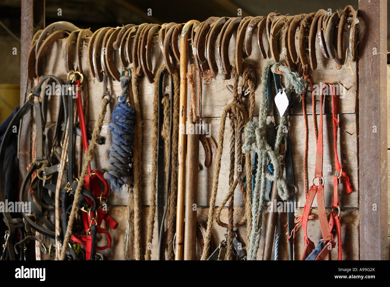 Various items of horse tack and equipment hanging in stable Stock Photo