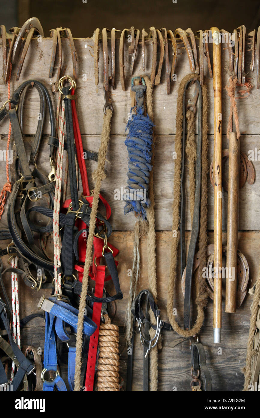 Various items of horse tack and equipment hanging in stable Stock Photo