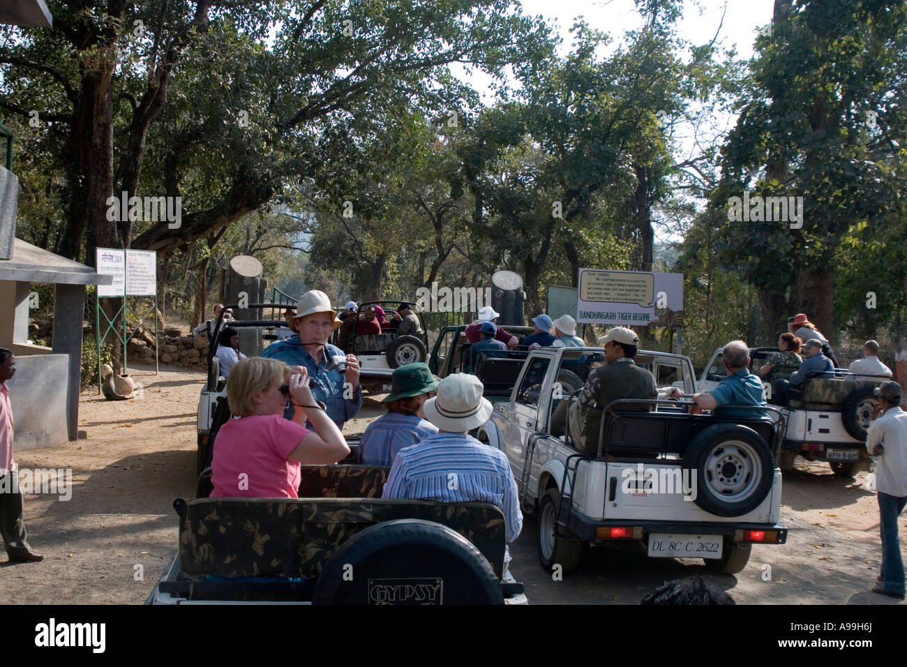Tourists in Jeep taking pictures of the Bandavgarh National Park North India Stock Photo