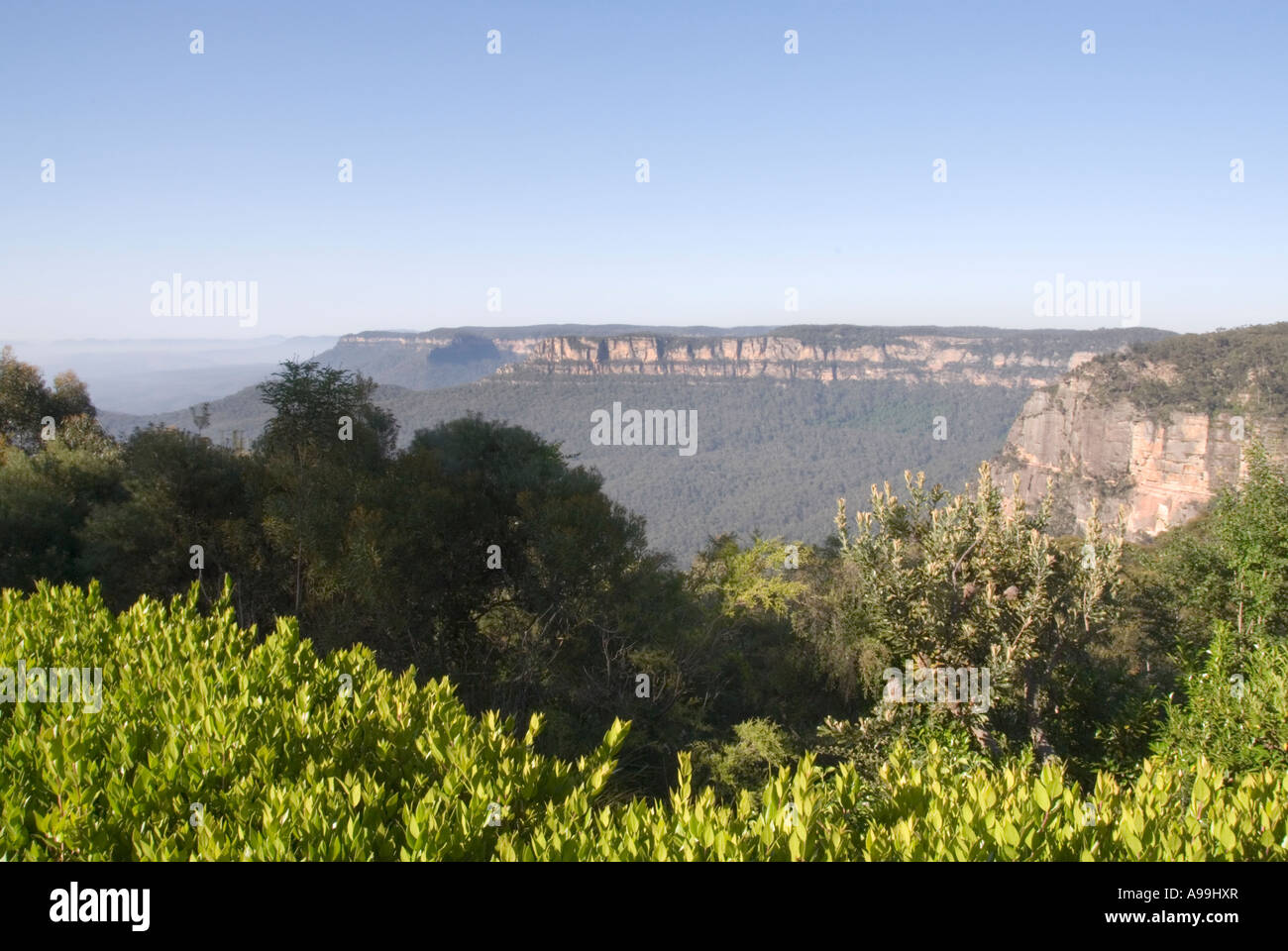 View from Katoomba,The Blue Mountains Stock Photo Alamy