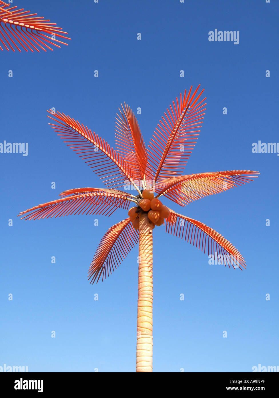 one orange plastic palm tree Stock Photo Alamy