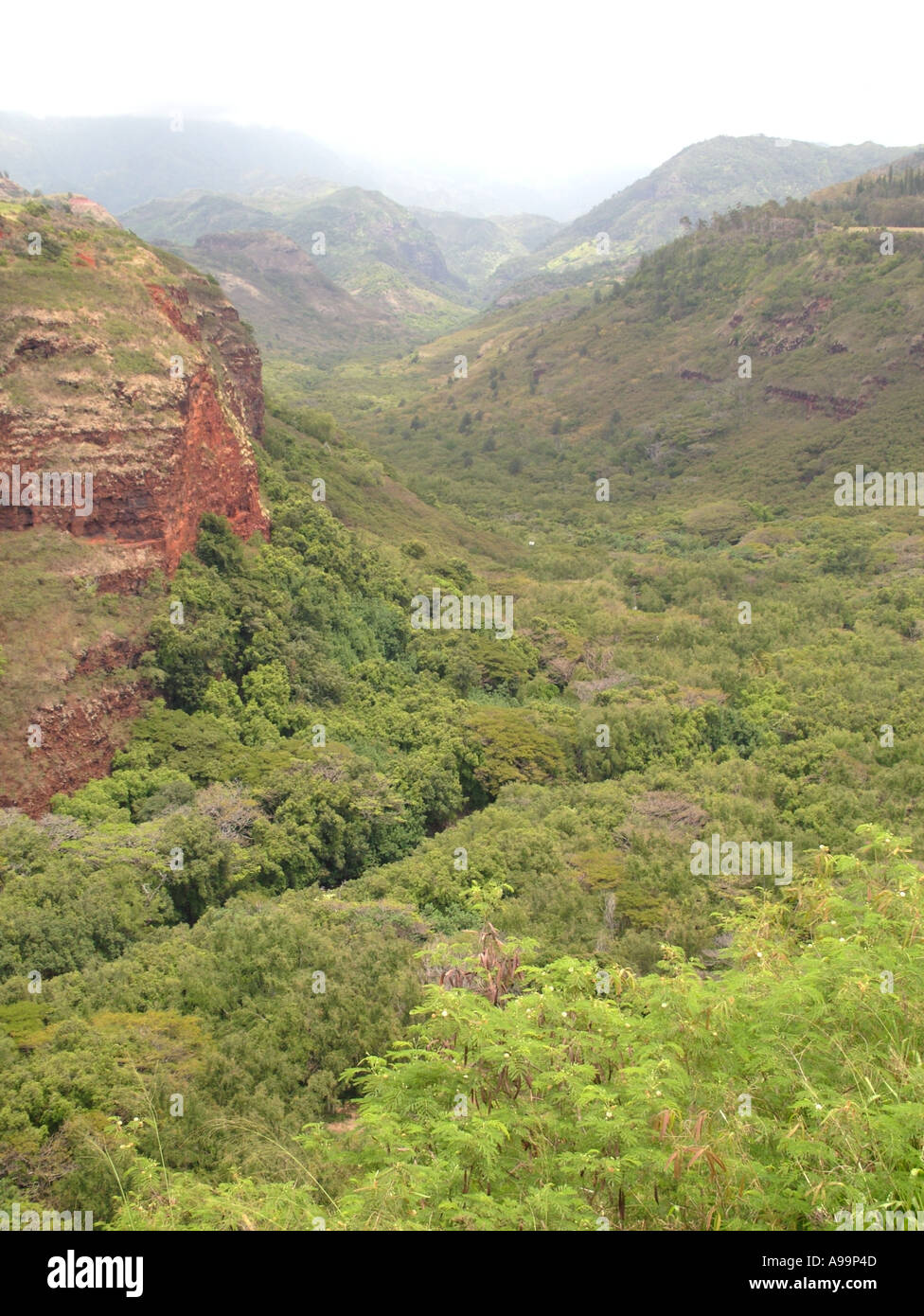 Kauai hanapepe lookout hires stock photography and images Alamy