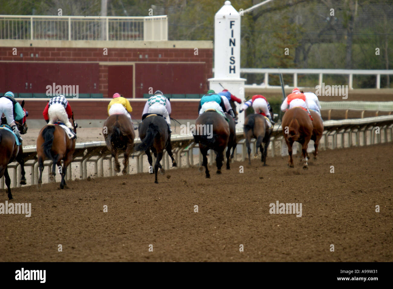HORSES THOROUGHBRED RACING Calgary Alberta Canada Stock Photo Alamy
