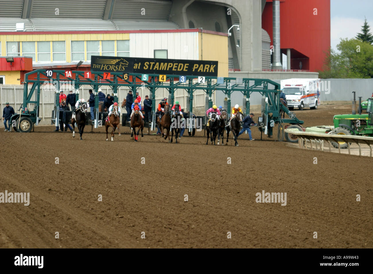 HORSES THOROUGHBRED RACING Calgary Alberta Canada Stock Photo