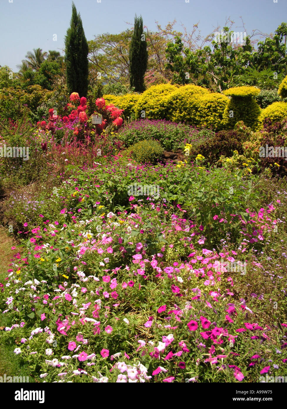 Hawaiian islands national tropical botanical garden hi-res stock ...