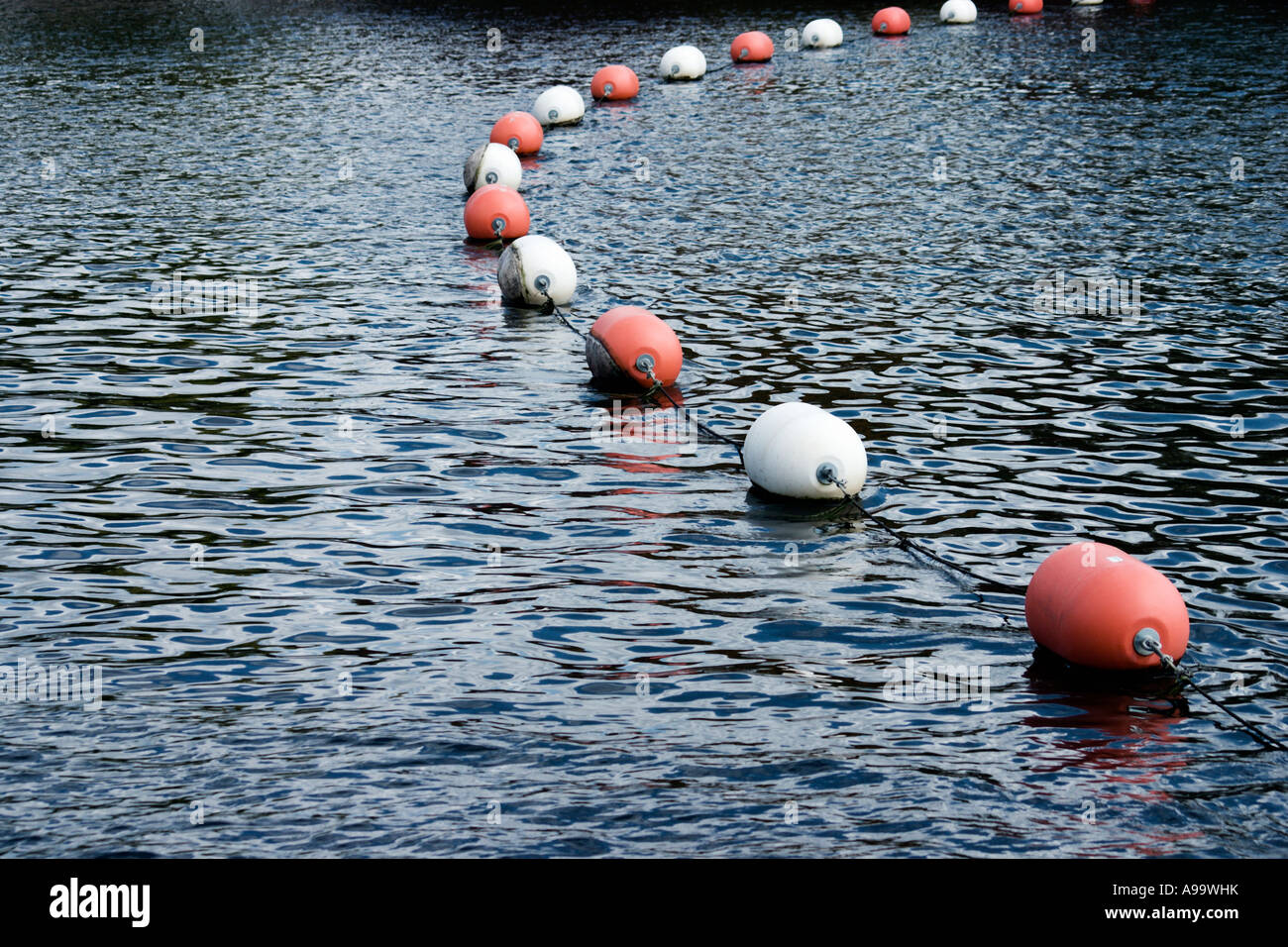 Floating markers in a canal Stock Photo Alamy