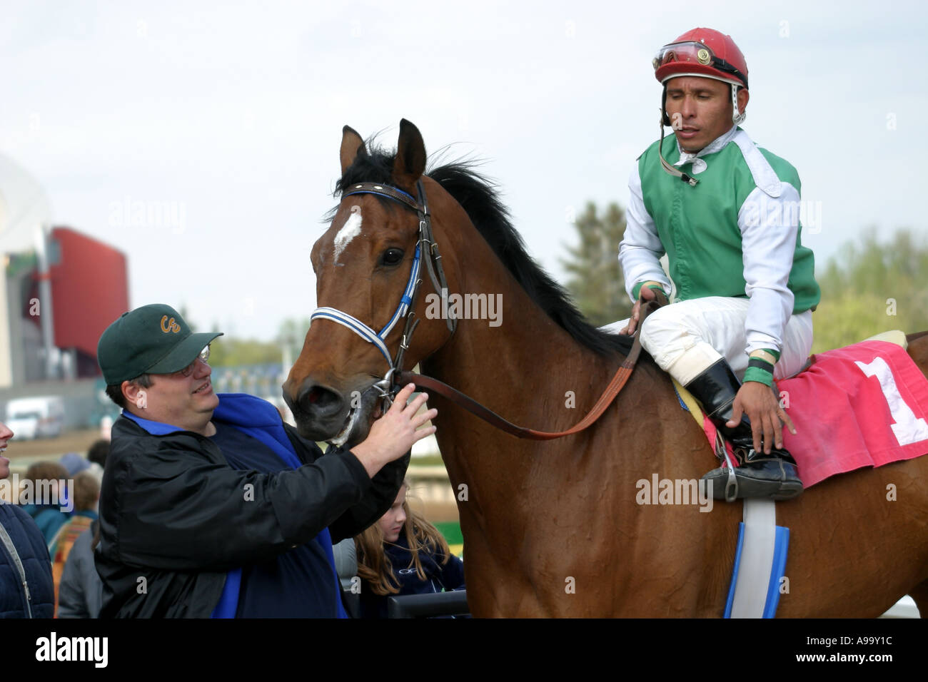 HORSES THOROUGHBRED RACING Calgary Alberta Canada Stock Photo Alamy