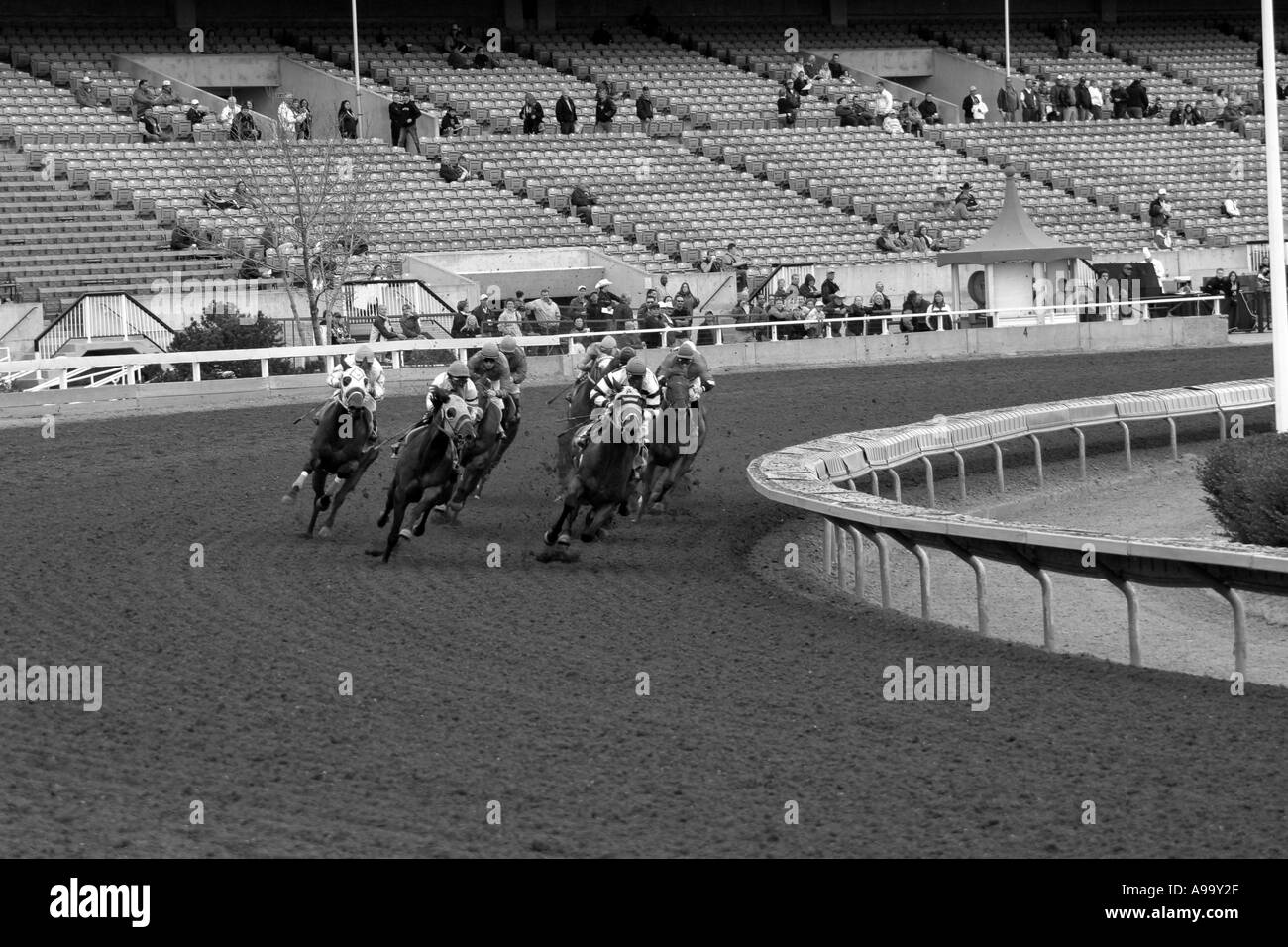 Team canada equestrian Black and White Stock Photos & Images Alamy