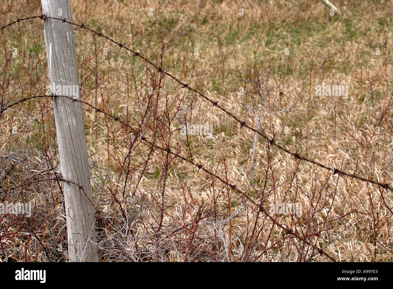 Broken down barb wire fence Stock Photo Alamy
