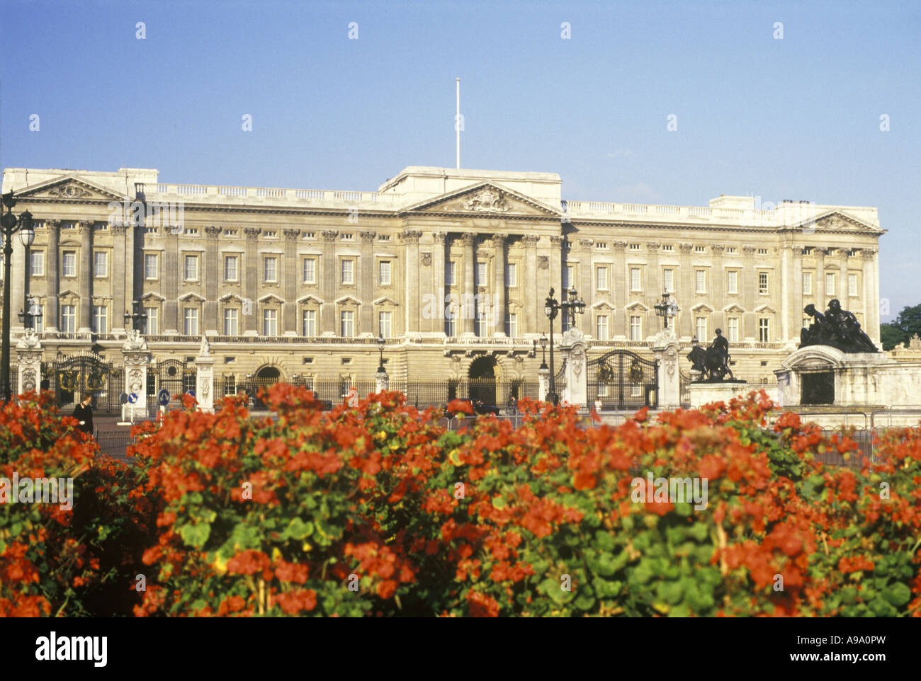 RED FLOWER BEDS BUCKINGHAM PALACE LONDON ENGLAND UK Stock Photo Alamy