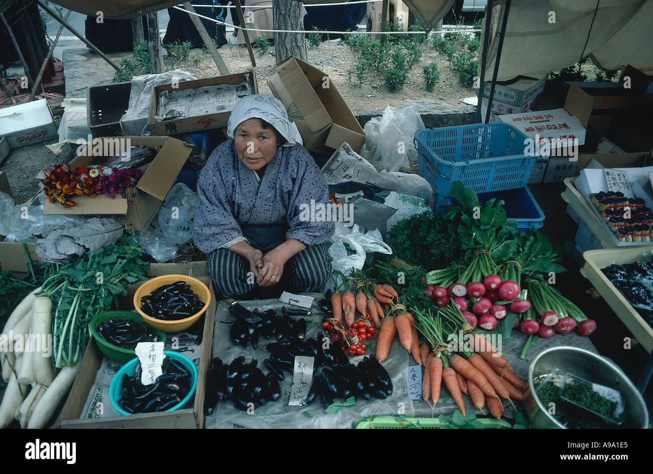 JAPAN Honshu Takayama Vegetable Market Woman with local produce of
