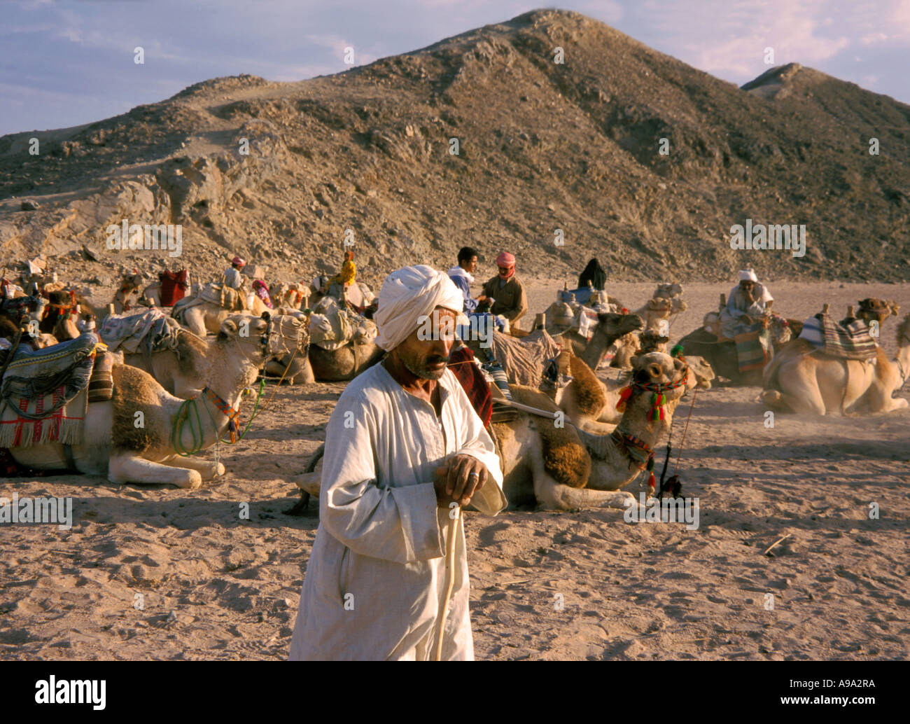 Bedouin on desert Stock Photo - Alamy