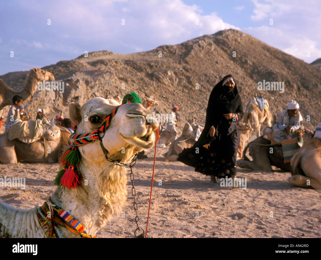 Desert bedouin woman children hi-res stock photography and images - Alamy