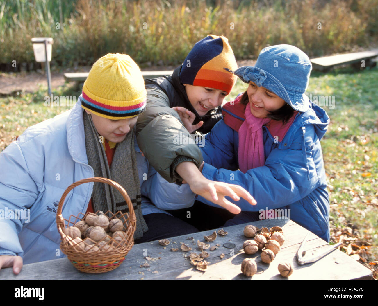 Children playing with nuts hi-res stock photography and images - Alamy