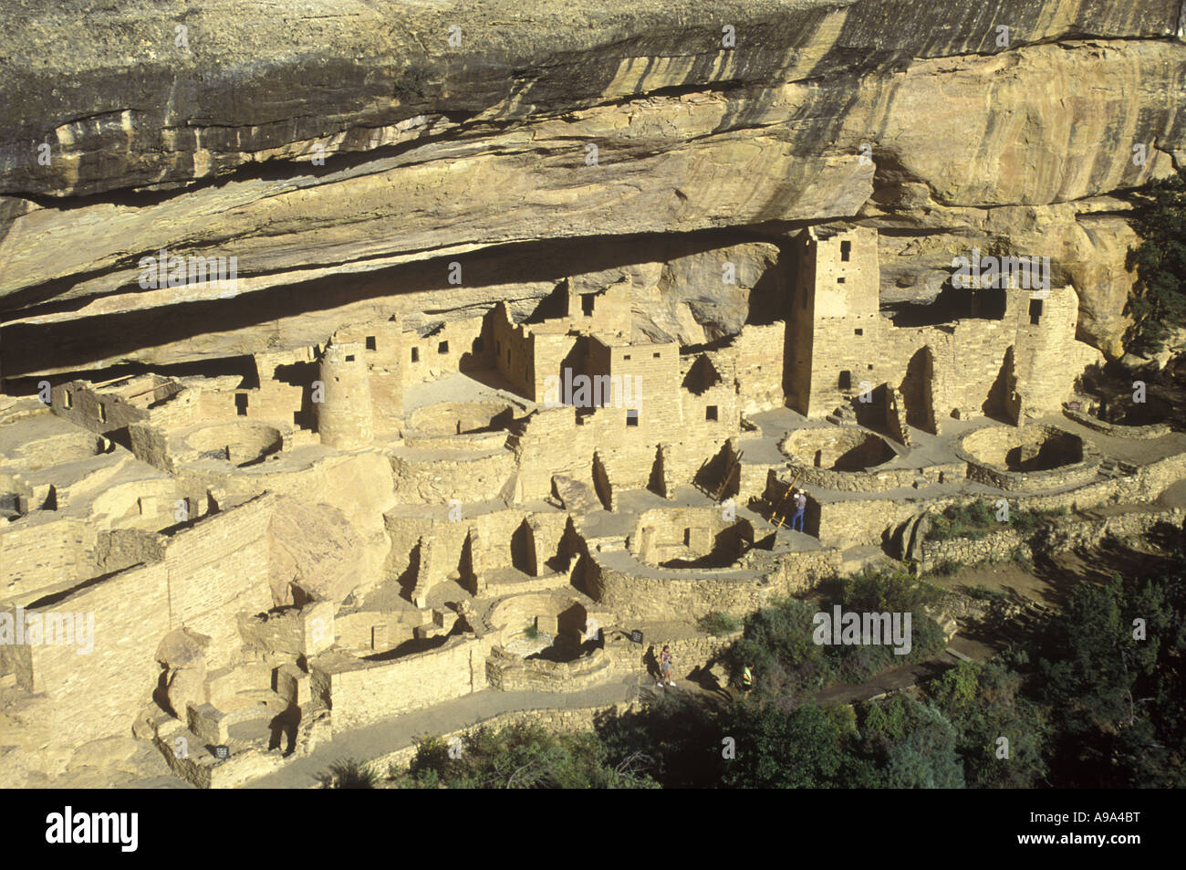 CLIFF PALACE MESA VERDE NATIONAL PARK CORTEZ COLORADO USA Stock Photo ...