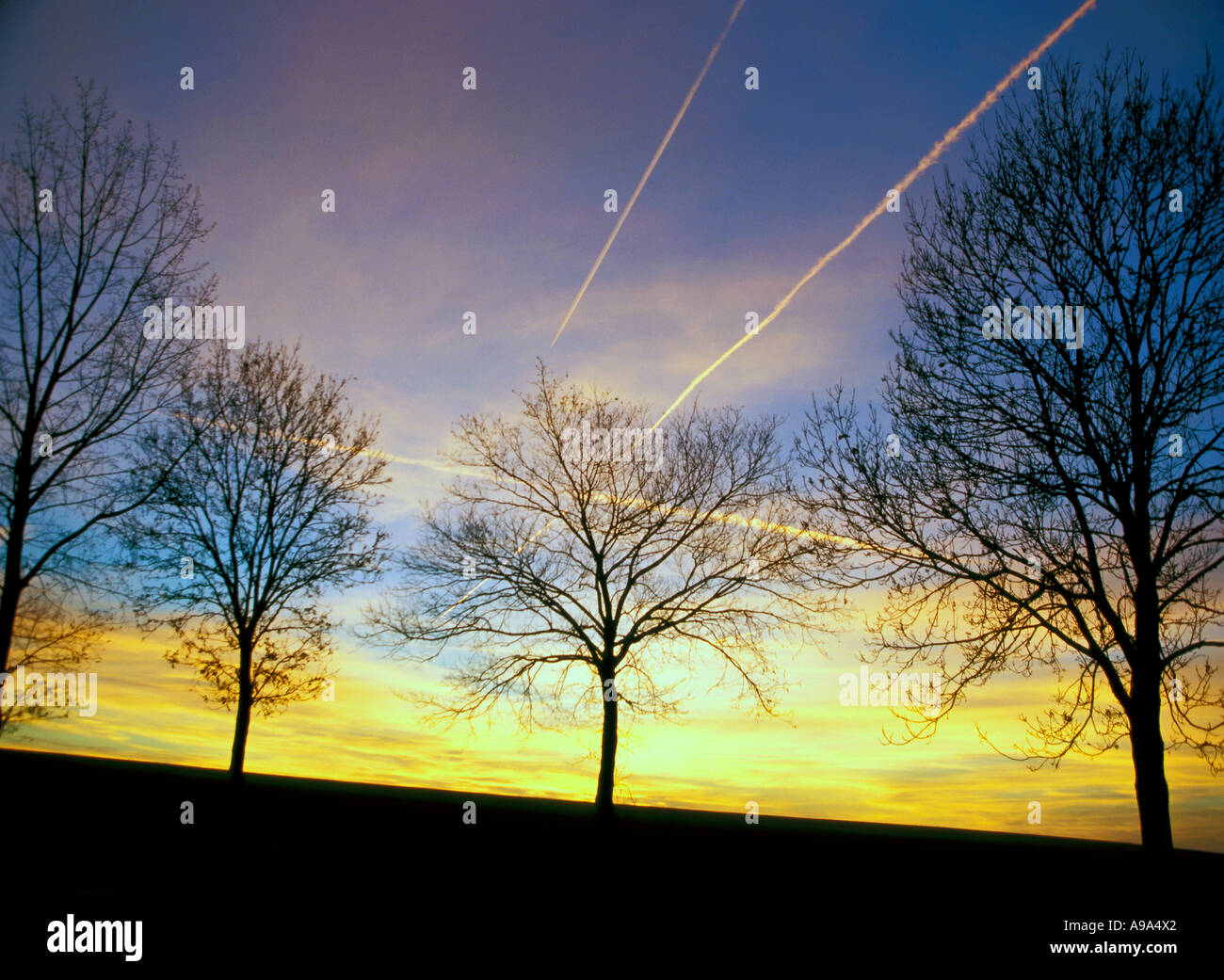 Sunrise moon over trees hi-res stock photography and images - Alamy