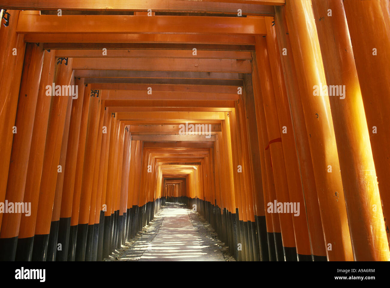 PATH FUSHIMI INARI TAISHA SHRINE KYOTO HONSHU JAPAN Stock Photo - Alamy