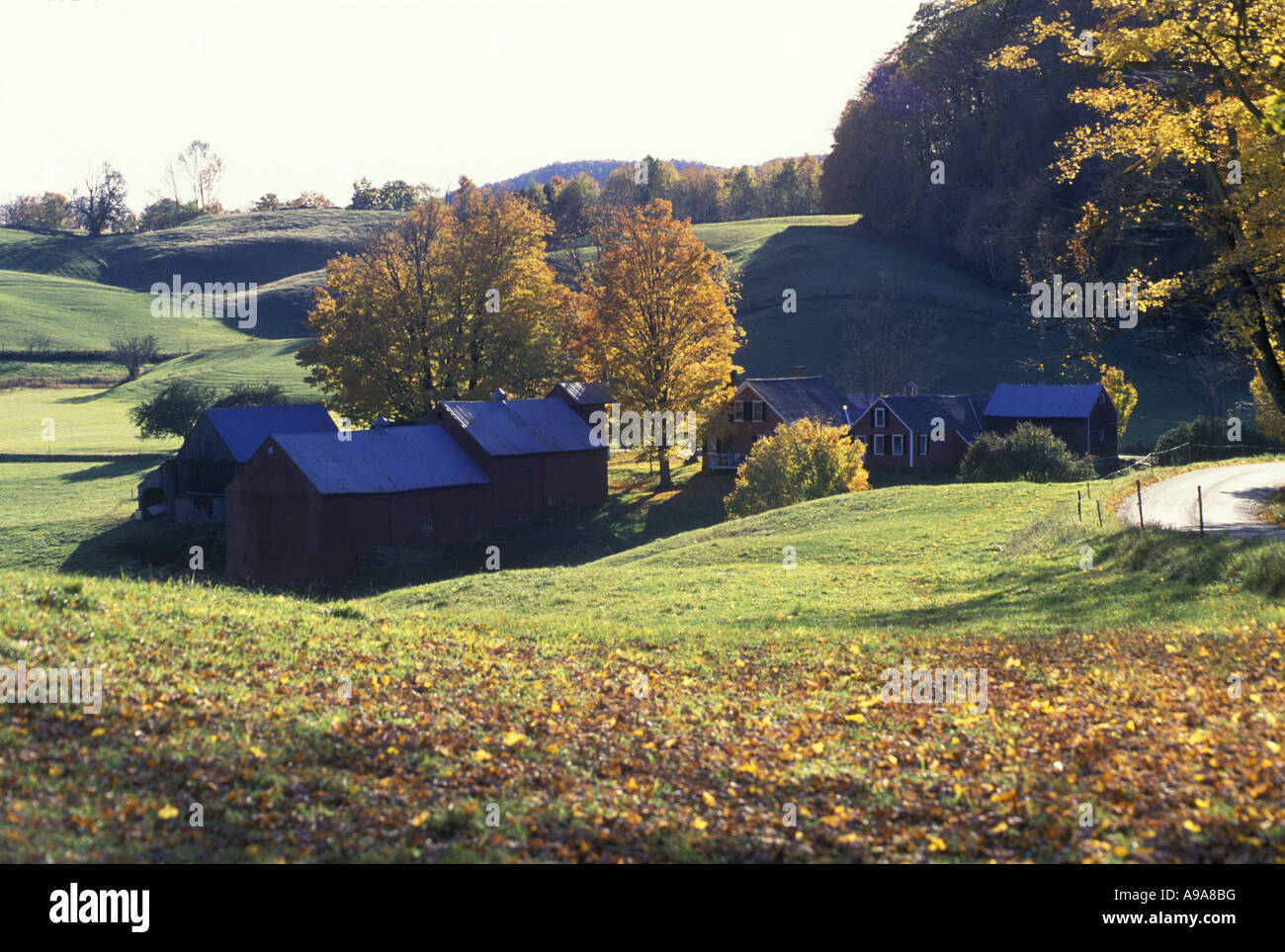 Jenne farm reading vermont usa hires stock photography and images Alamy