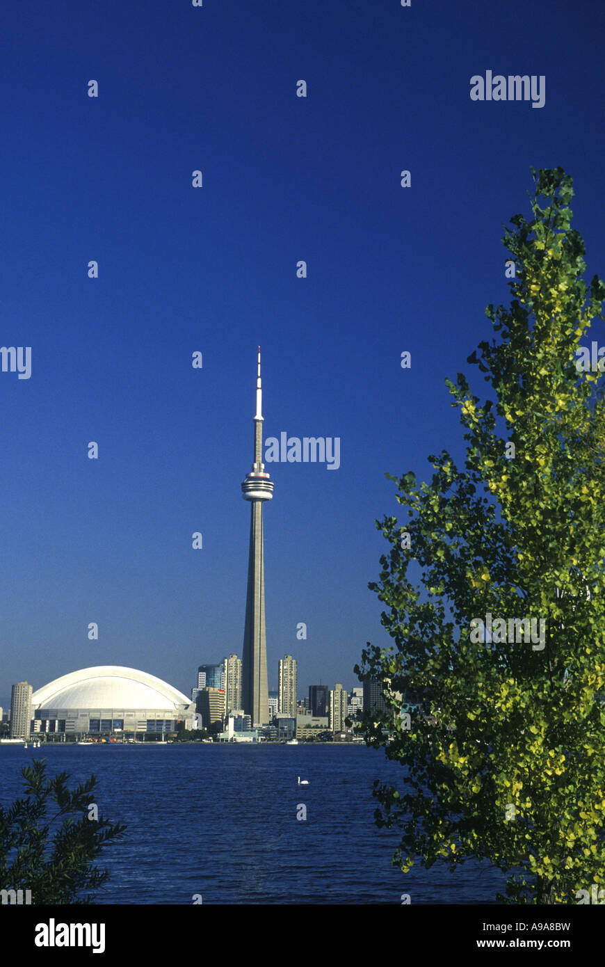 CN TOWER TORONTO ONTARIO CANADA Stock Photo - Alamy