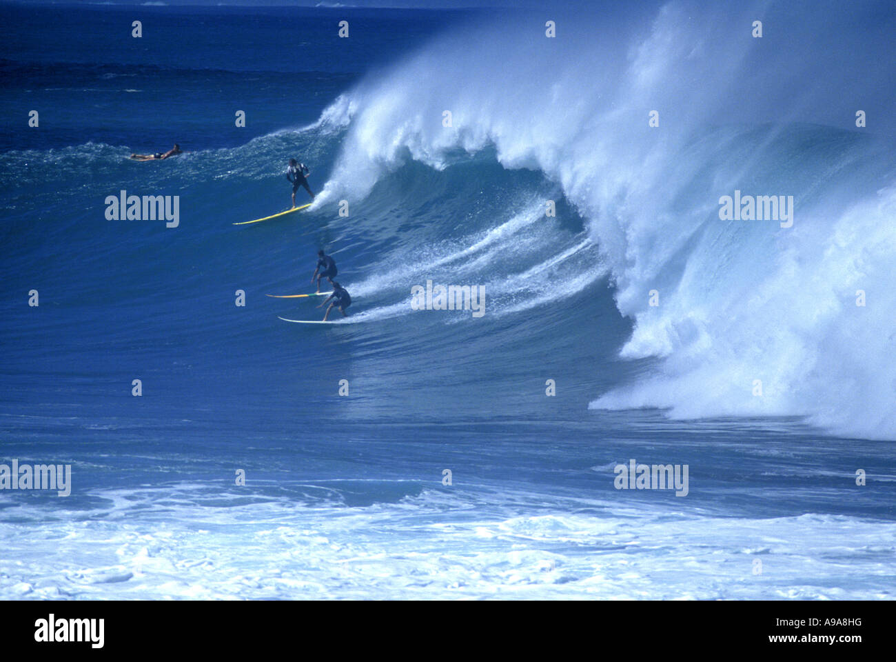 SURFERS ON BIG SHOREBREAK WAVE WAIMEA BAY NORTH SHORE OAHU HAWAII USA Stock Photo Alamy