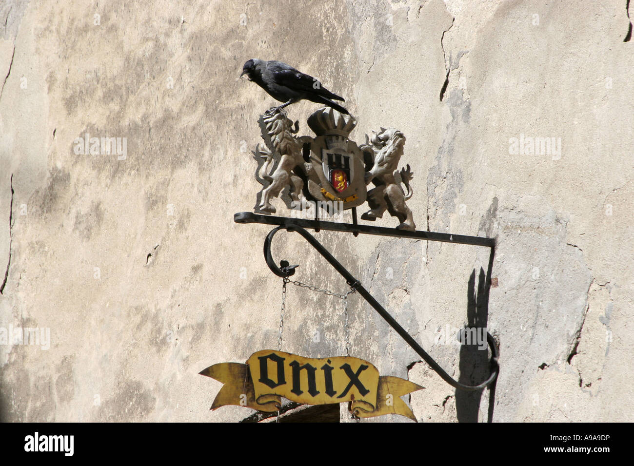 A Magpie bird sitting on wrought iron sign. Sighisoara Romania April 2007 medieval citadel Stock Photo