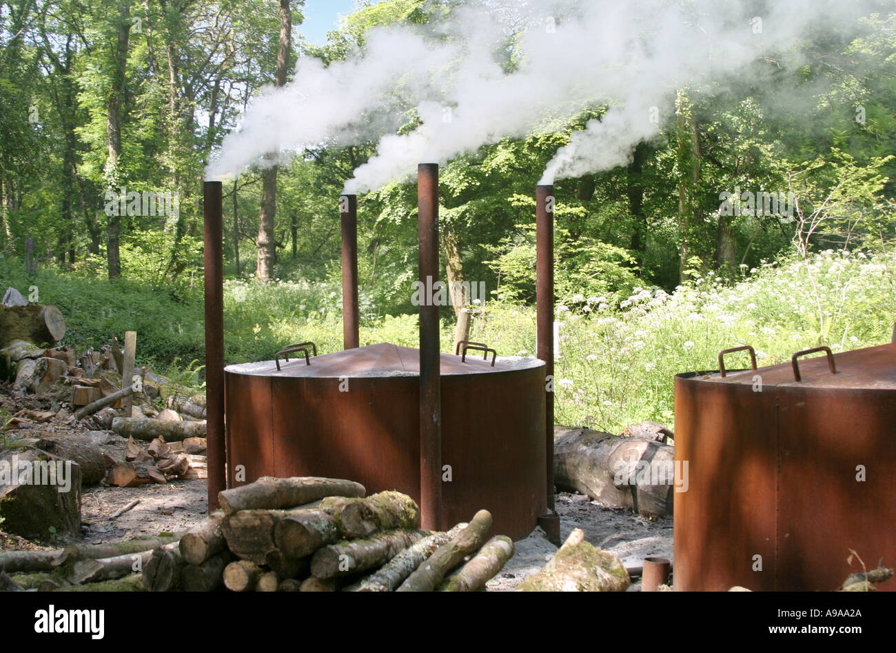 Charcoal burning kiln Heligan Cornwall Stock Photo Alamy