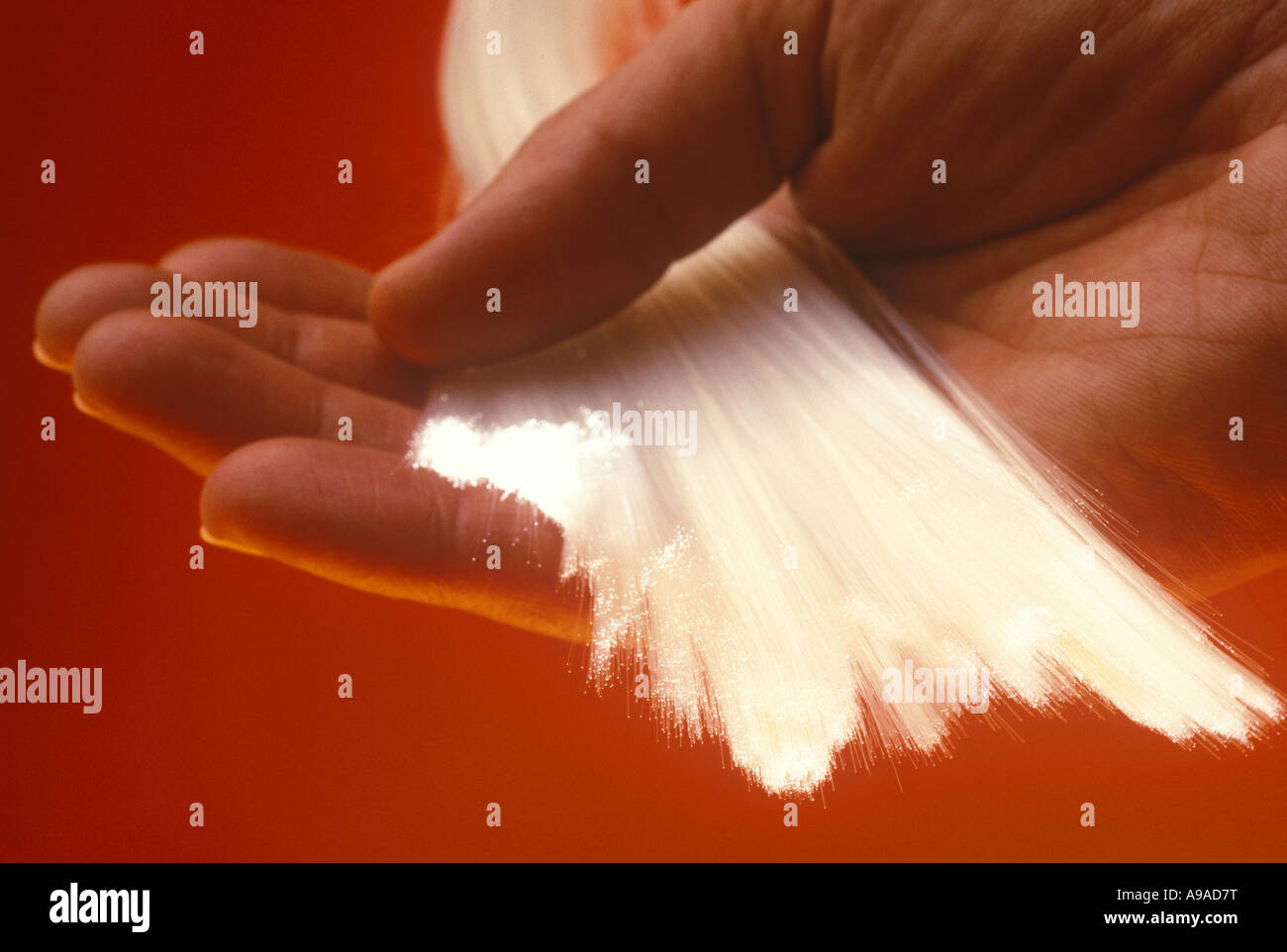 LIT TIPS OF FIBER OPTIC STRANDS (©KECK MAURER & SCHULTZ / CORNING GLASS WORKS 1970) HELD IN YOUNG MANS PALM Stock Photo