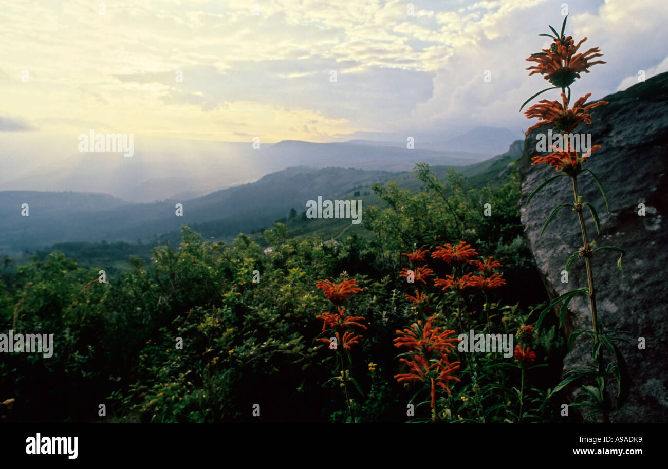light breaking through the clouds in Hogsback, South Africa Stock Photo
