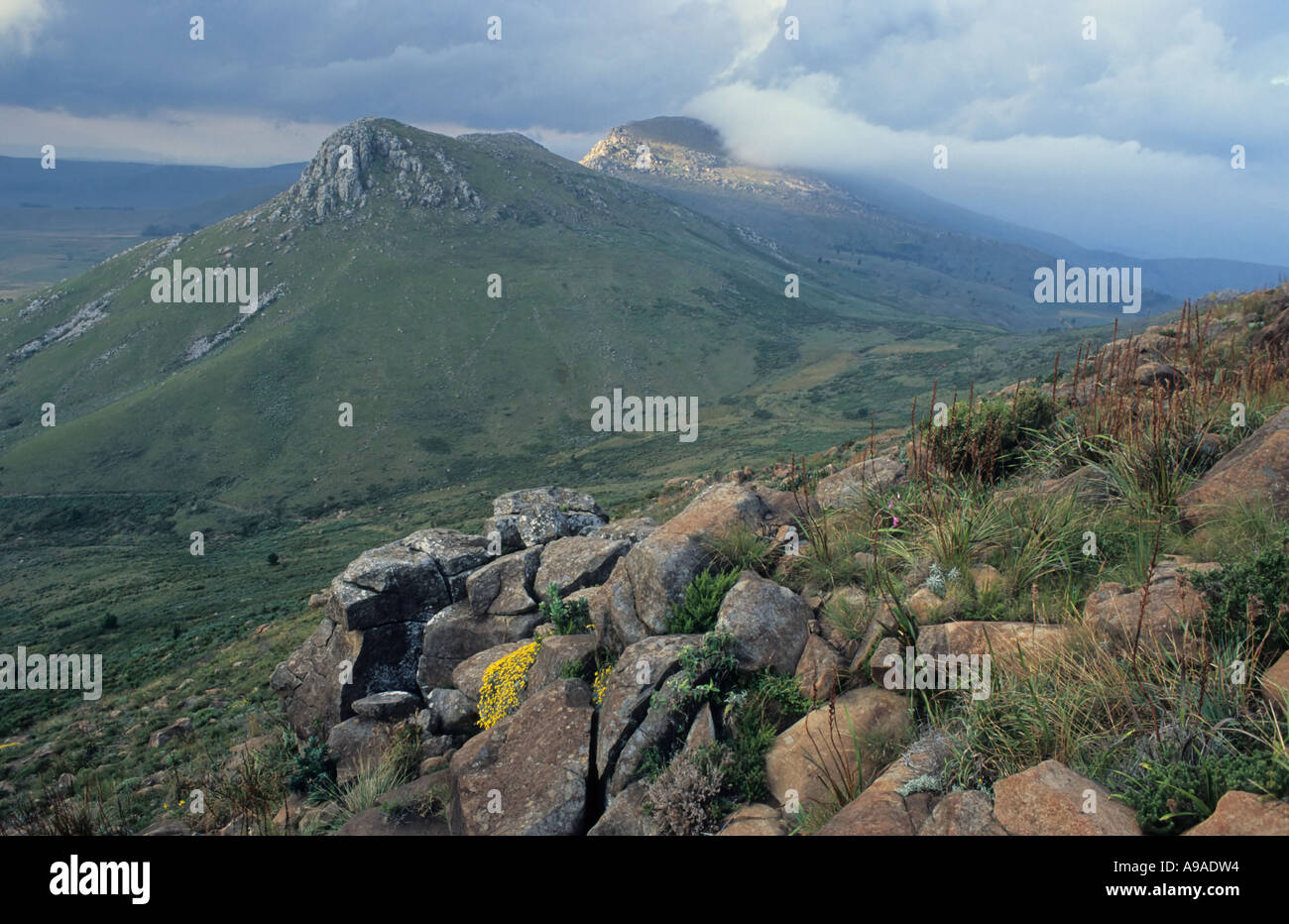 Hogsback south africa hi-res stock photography and images - Alamy