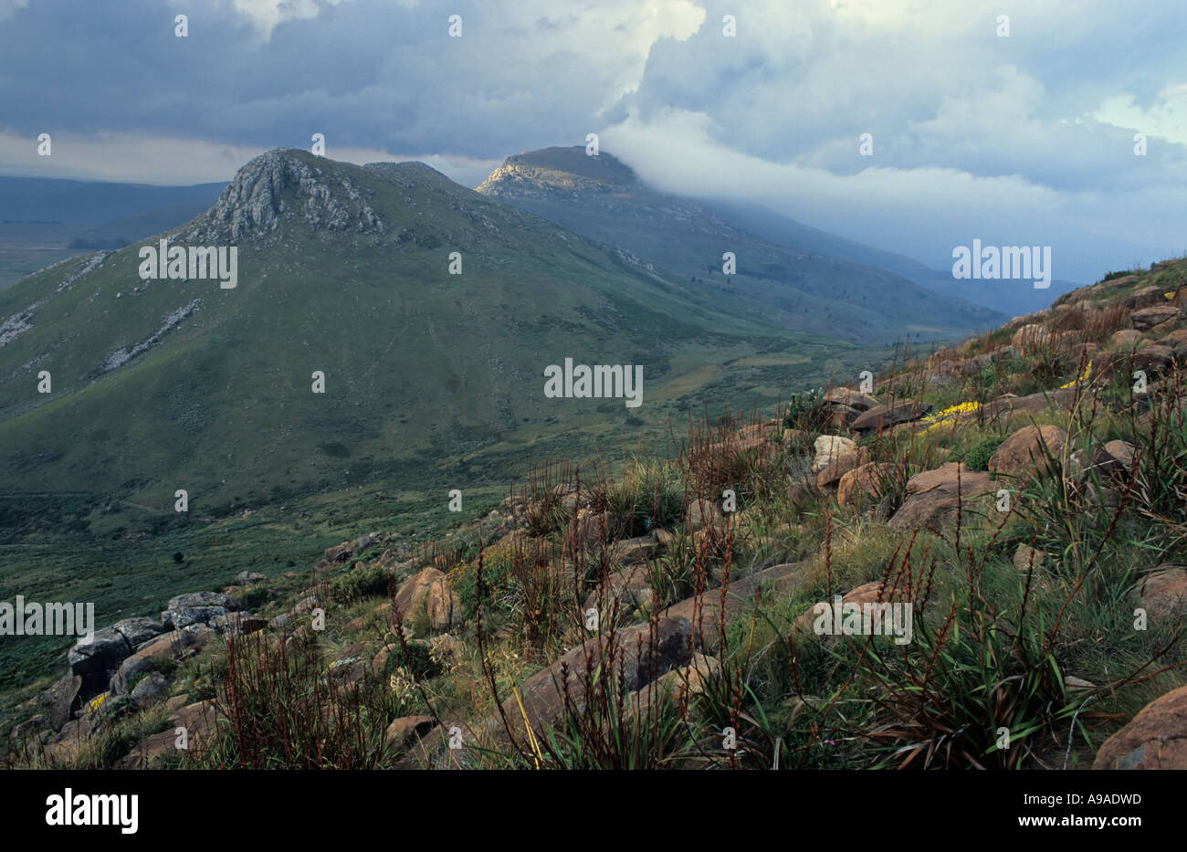 Hogsback, south africa hi-res stock photography and images - Alamy