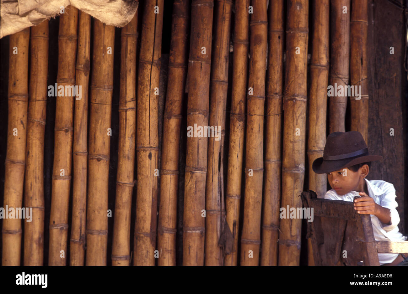 COLOMBIA Young cowboy in the cattlelands of Casanare Llanos Stock Photo