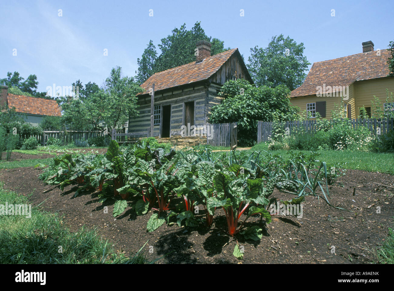 Micksh House Garden Old Salem Village Winston Salem North Carolina