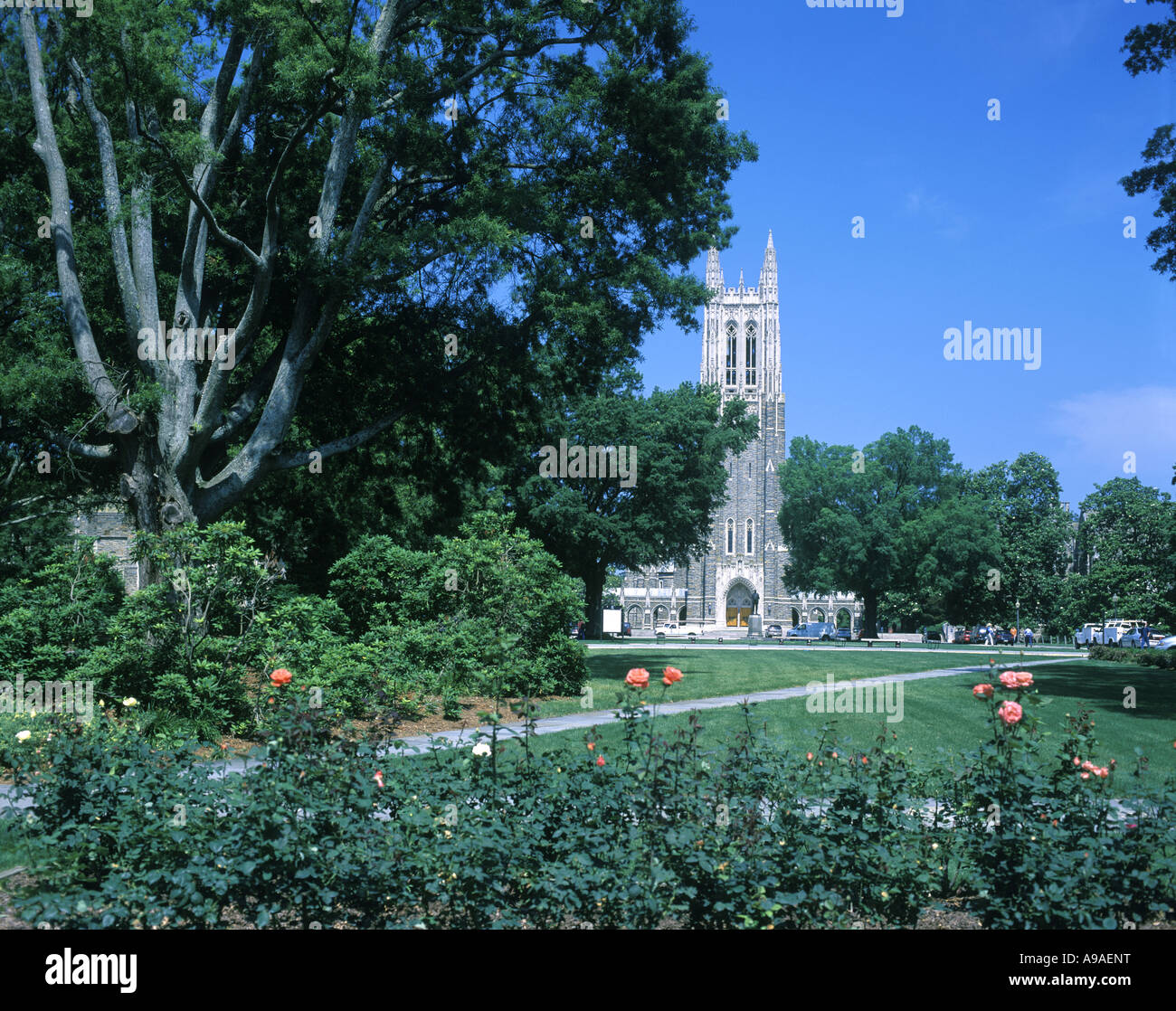 DUKE UNIVERSITY CHAPEL DURHAM NORTH CAROLINA USA Stock Photo