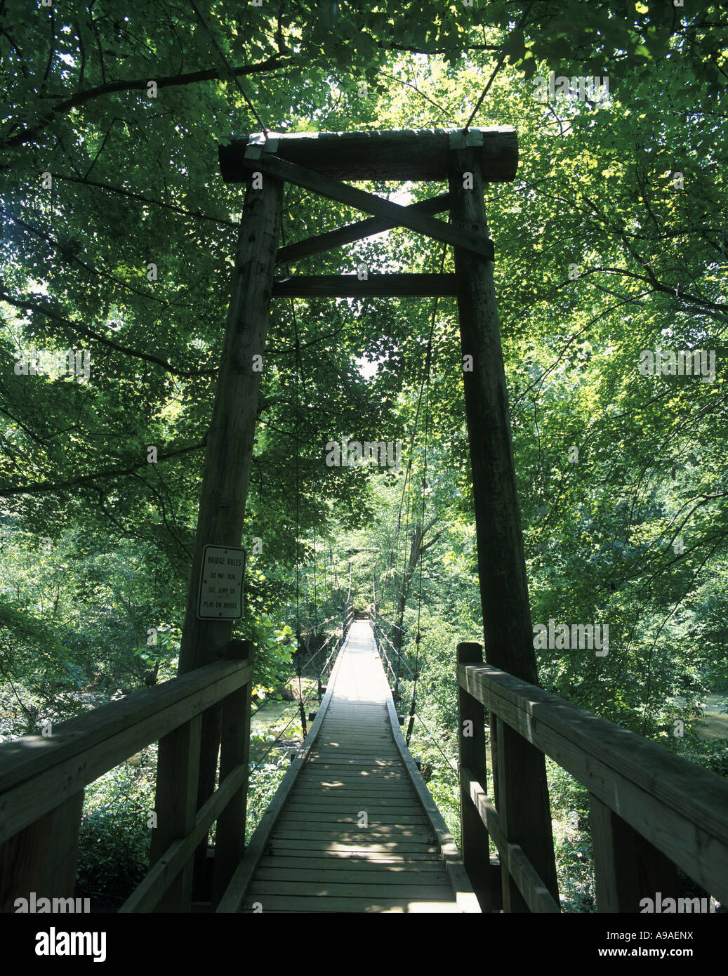 FEWS FORD SUSPENSION BRIDGE ENO STATE PARK DURHAM NORTH CAROLINA USA