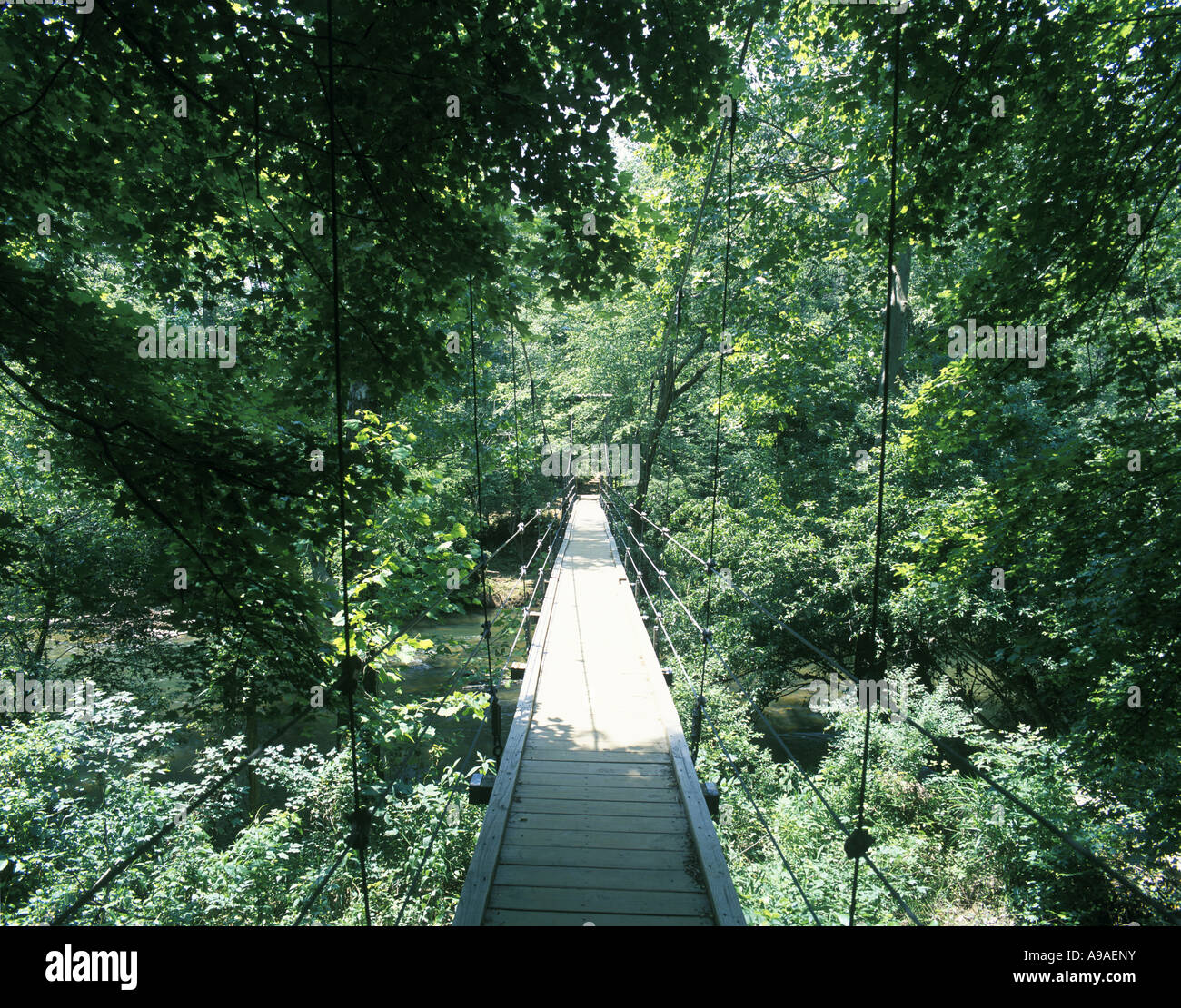 Eno state park hires stock photography and images Alamy