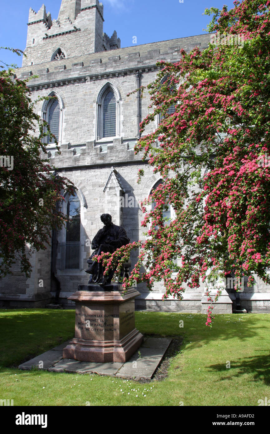 THE GUINNESS STATUE ST PATRICKS CATHEDRAL DUBLIN IRELAND Stock Photo