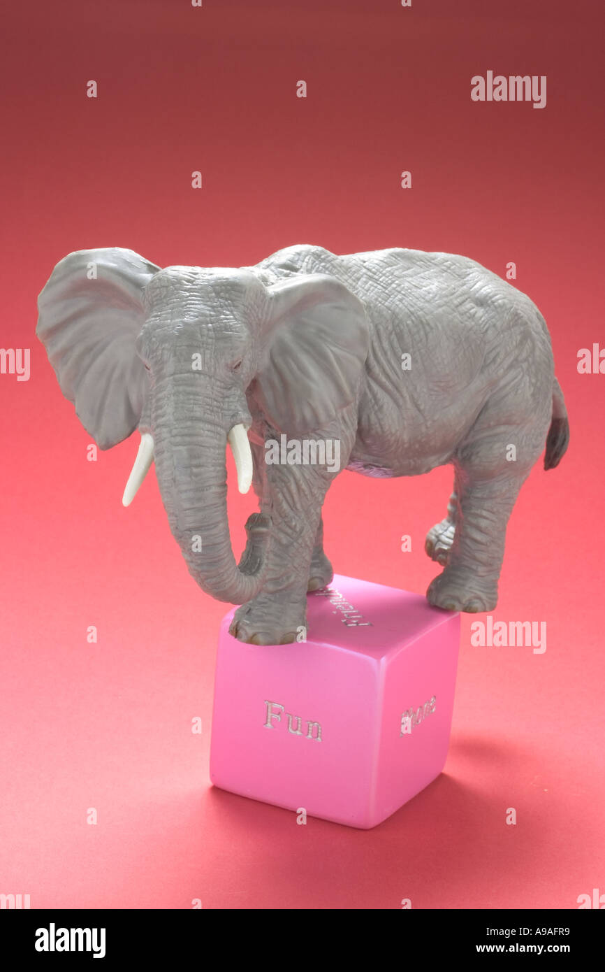 Elephant Figurine Standing on Cube Stock Photo Alamy