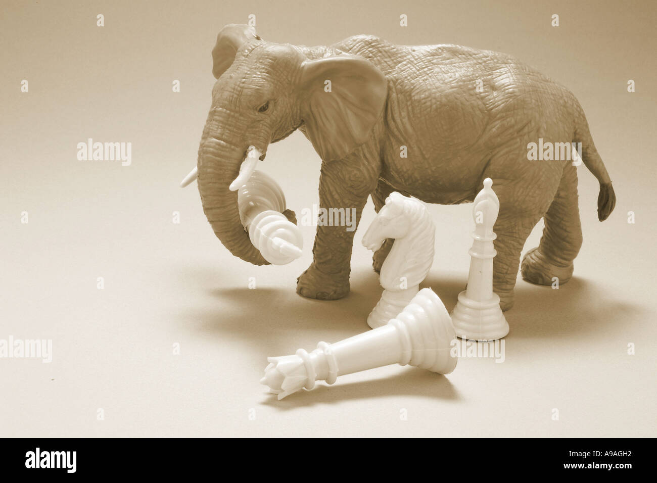 Elephant chess hires stock photography and images Alamy