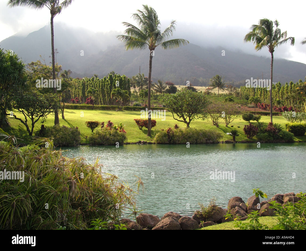 AJD41660, Wailuku, Maui, HI, Hawaii Stock Photo Alamy