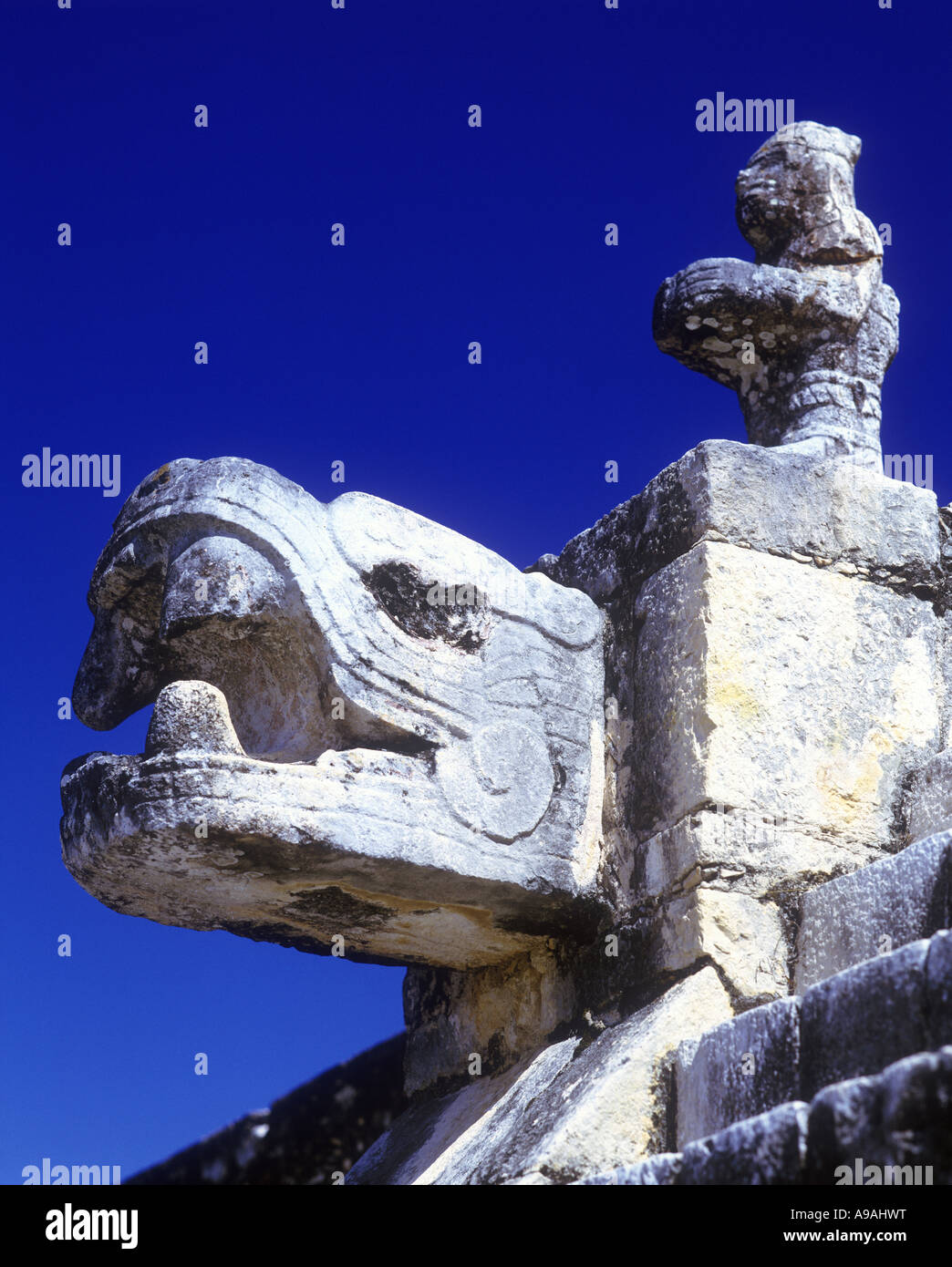 JAGUAR HEAD TEMPLE OF WARRIORS CHICHEN ITZA MAYAN RUINS YUCATAN MEXICO
