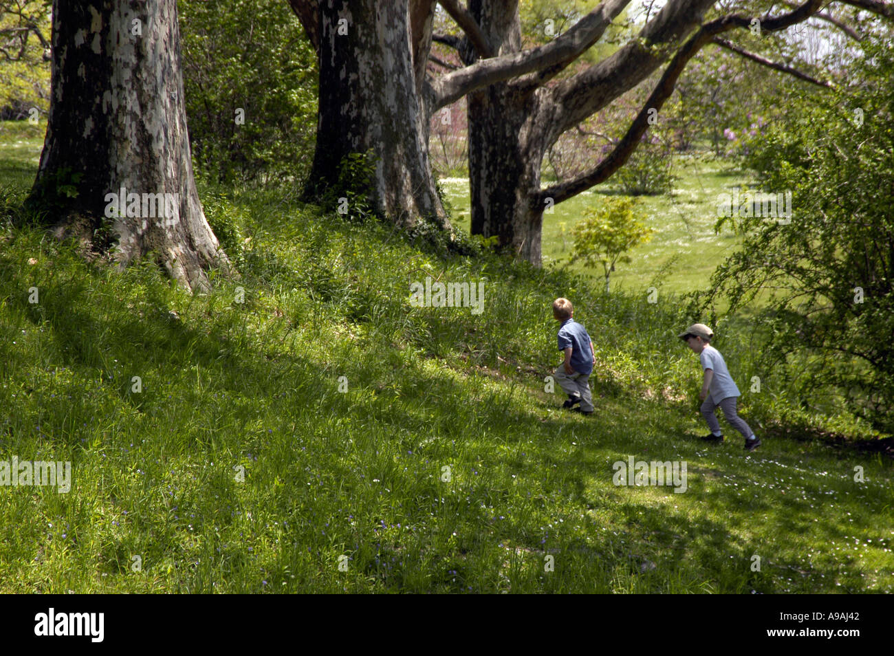 Children in the woods Stock Photo