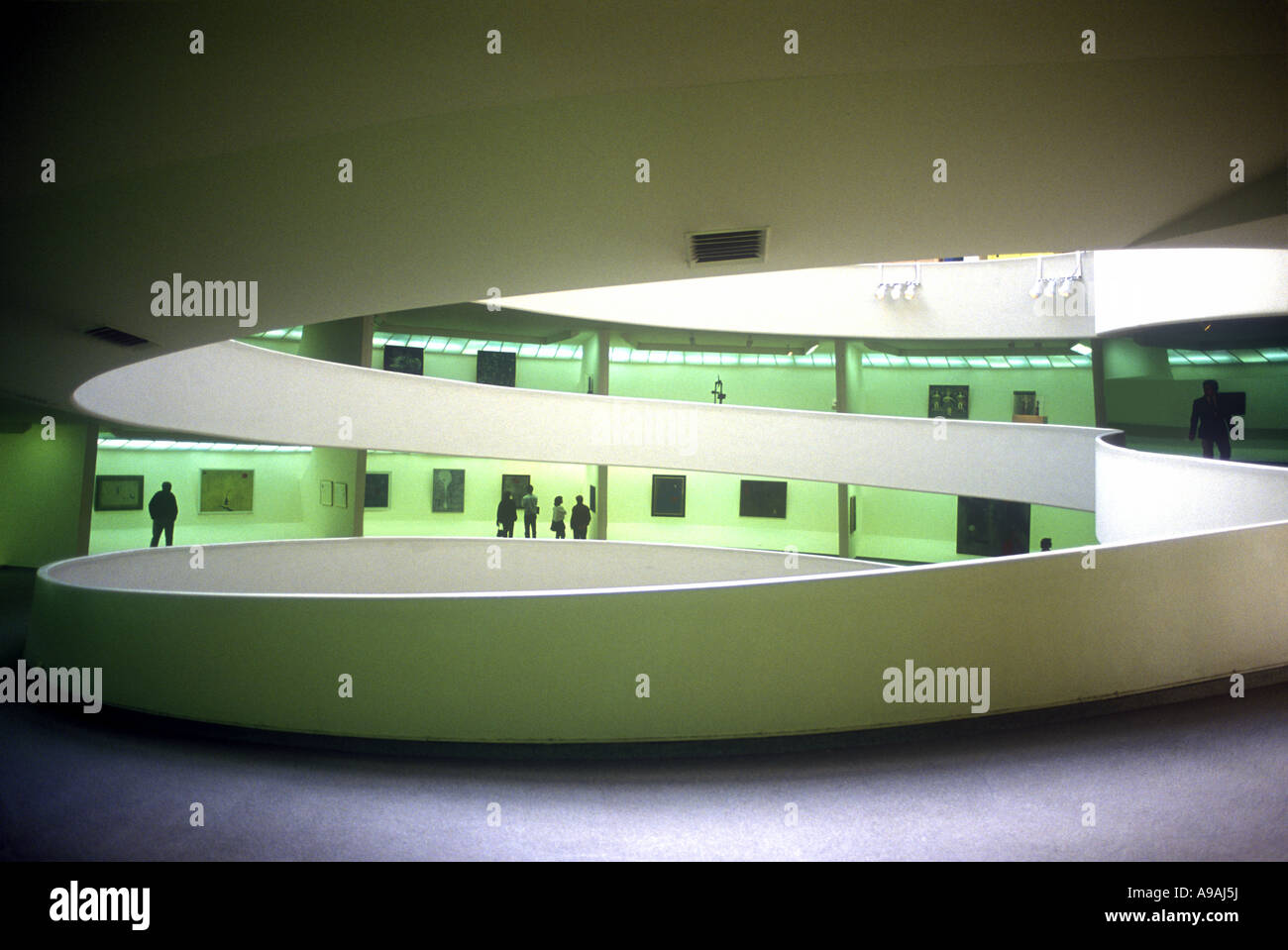 ROTUNDA SOLOMON GUGGENHEIM MUSEUM (©FRANK LLOYD WRIGHT 1959) FIFTH