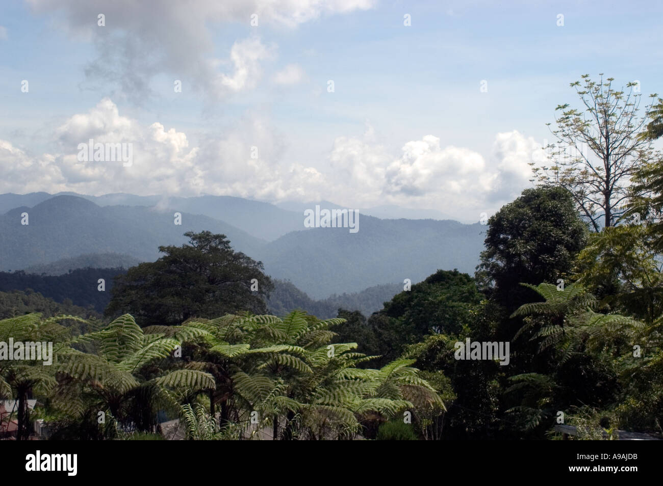 Mountains and Jungles of Pahang Stock Photo