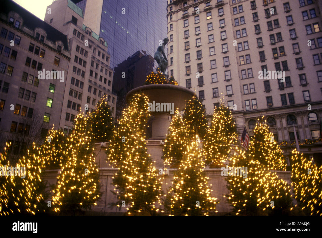 CHRISTMAS TREES LIGHTS PULITZER FOUNTAIN FIFTH AVENUE MANHATTAN NEW